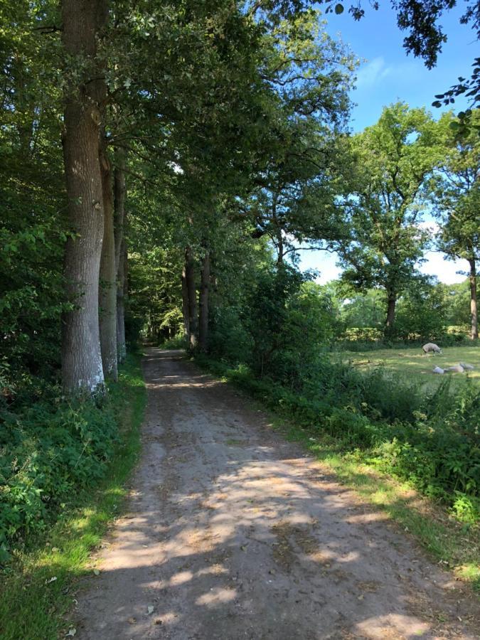 Klein Bosland By Logeren Bij Saar Villa Wijnjewoude Eksteriør bilde