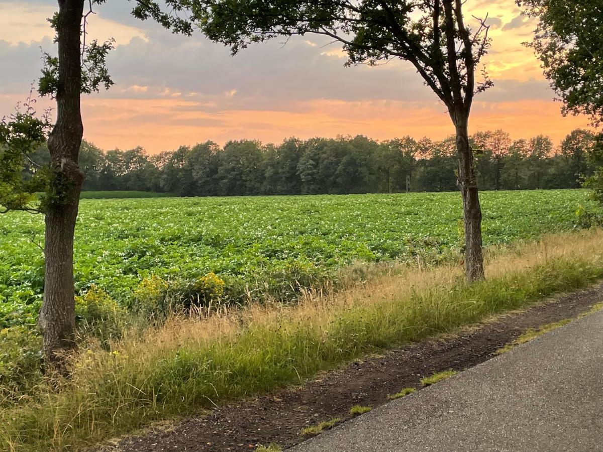 Klein Bosland By Logeren Bij Saar Villa Wijnjewoude Eksteriør bilde