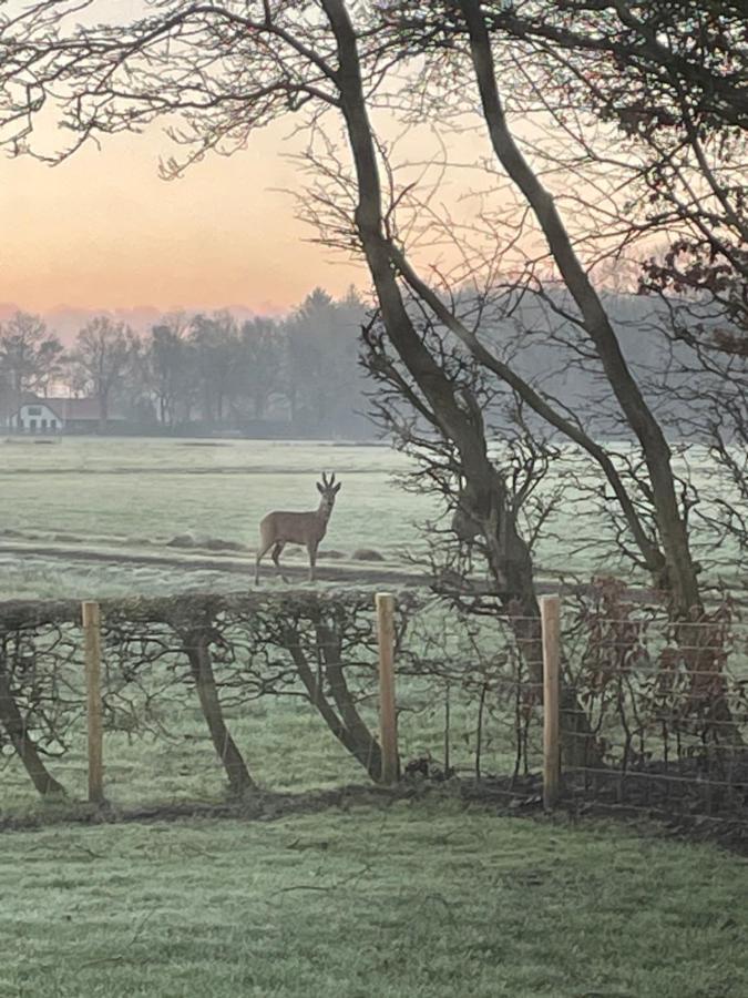 Klein Bosland By Logeren Bij Saar Villa Wijnjewoude Eksteriør bilde