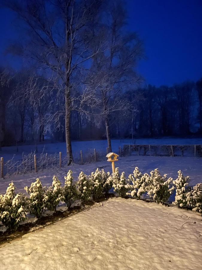 Klein Bosland By Logeren Bij Saar Villa Wijnjewoude Eksteriør bilde