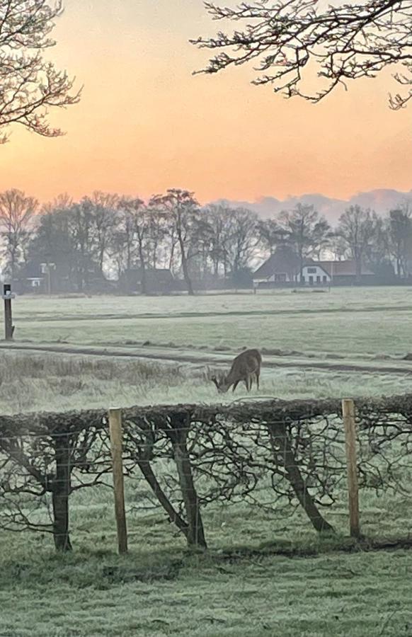 Klein Bosland By Logeren Bij Saar Villa Wijnjewoude Eksteriør bilde
