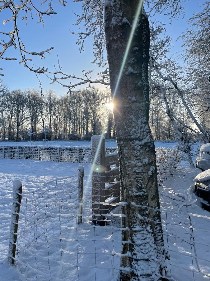 Klein Bosland By Logeren Bij Saar Villa Wijnjewoude Eksteriør bilde